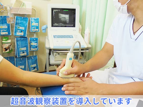 超音波観察装置を導入しています